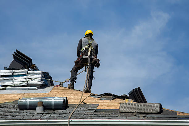 Professional Gutter Installation technician working in Triadelphia, WV